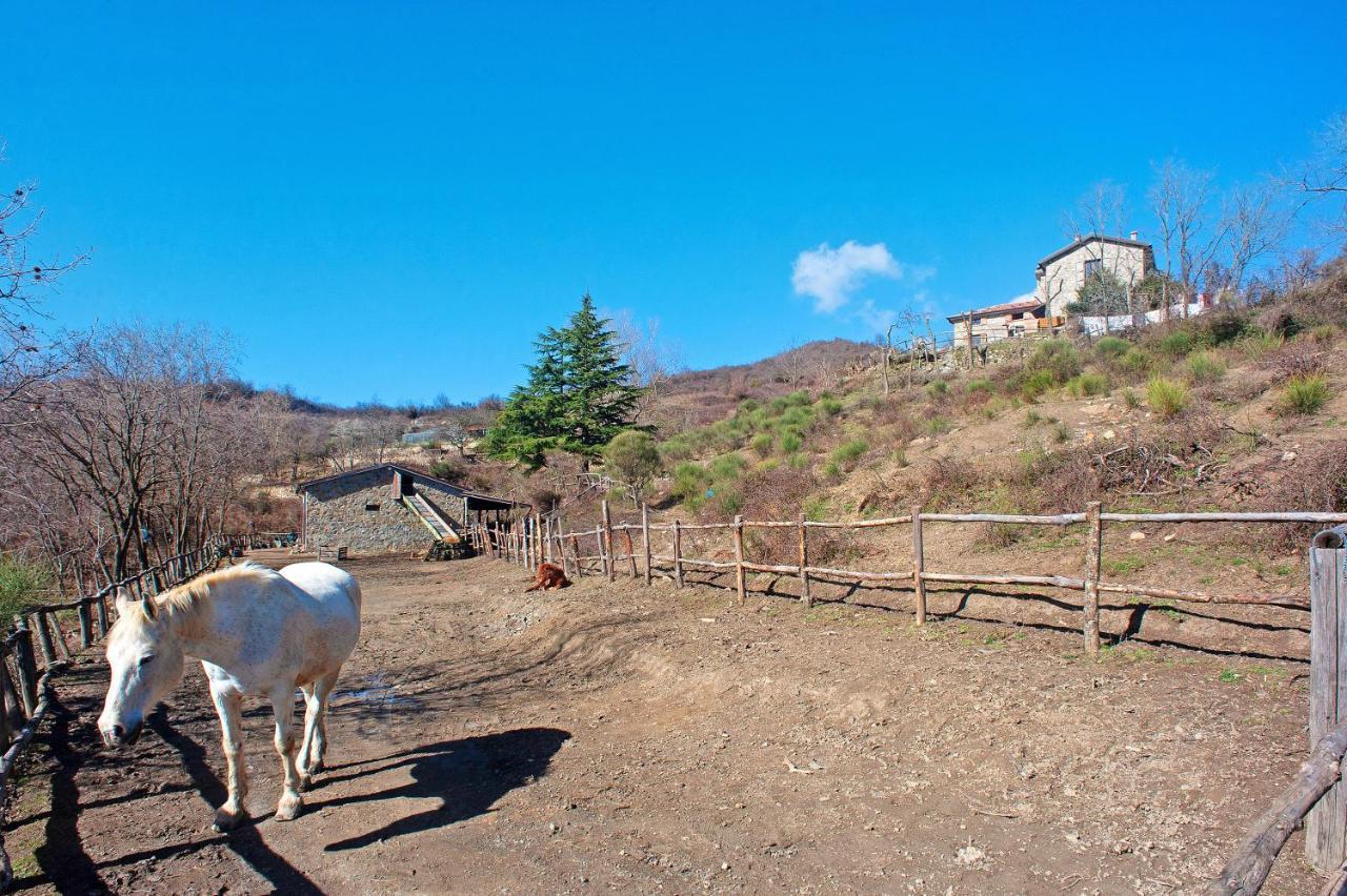 Calice al Cornoviglio Casa Della Barcareccia 빌라 외부 사진